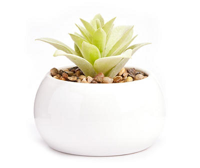 Green Artificial Succulent With White Round Ceramic Pot