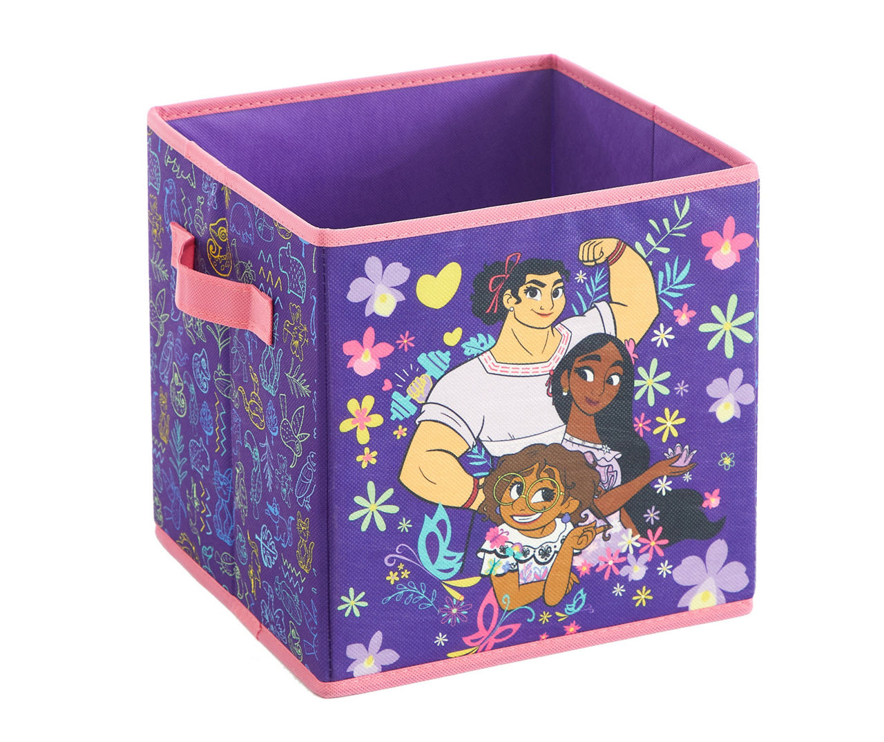 Disney Encanto Storage Cube Big Lots