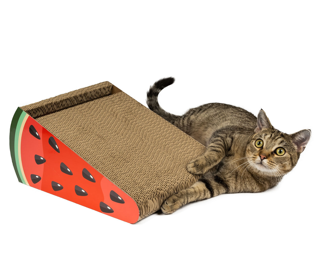 Big lots cat store scratcher