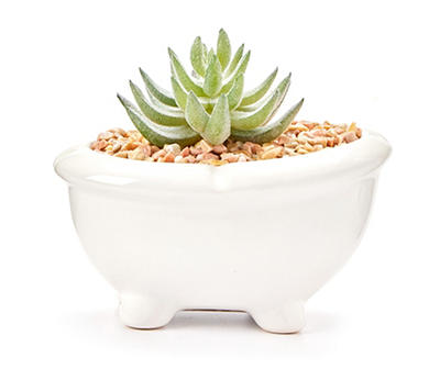 Artificial Succulent in White Ceramic Bathtub Pot