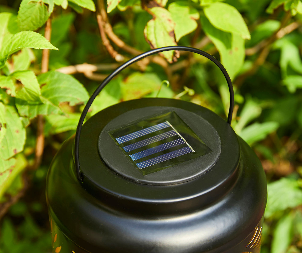 Black Leaf Cut-Out Metal LED Solar Lantern