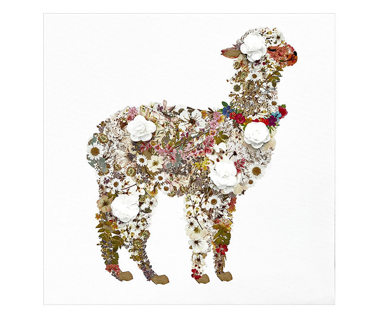 White & Multi-Color Flower Alpaca Canvas Art
