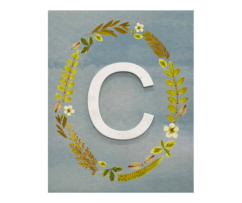 Blue & Green Pressed Leaves Monogram Canvas Art Big Lots