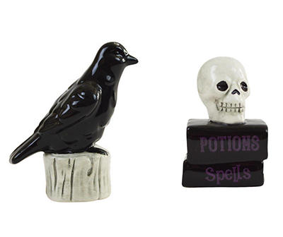 Raven & Skull with Books Salt & Pepper Shaker Set