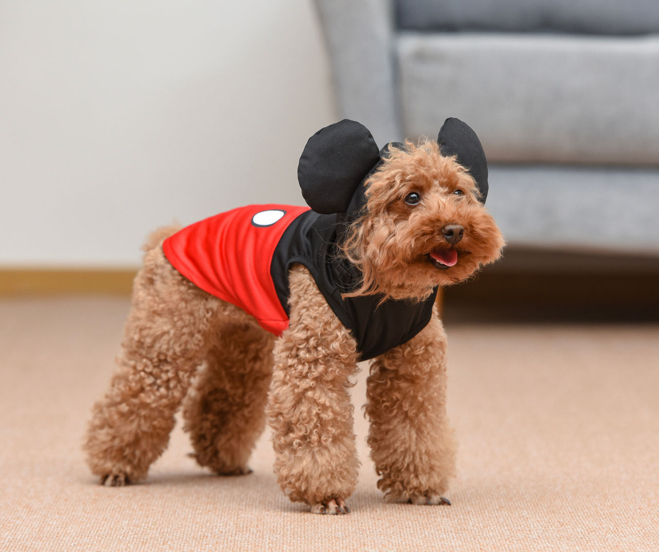 Mickey mouse costume outlet for dog