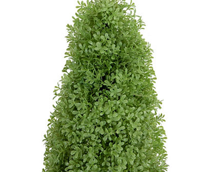 4' Boxwood Cone Topiary in Plastic Pot