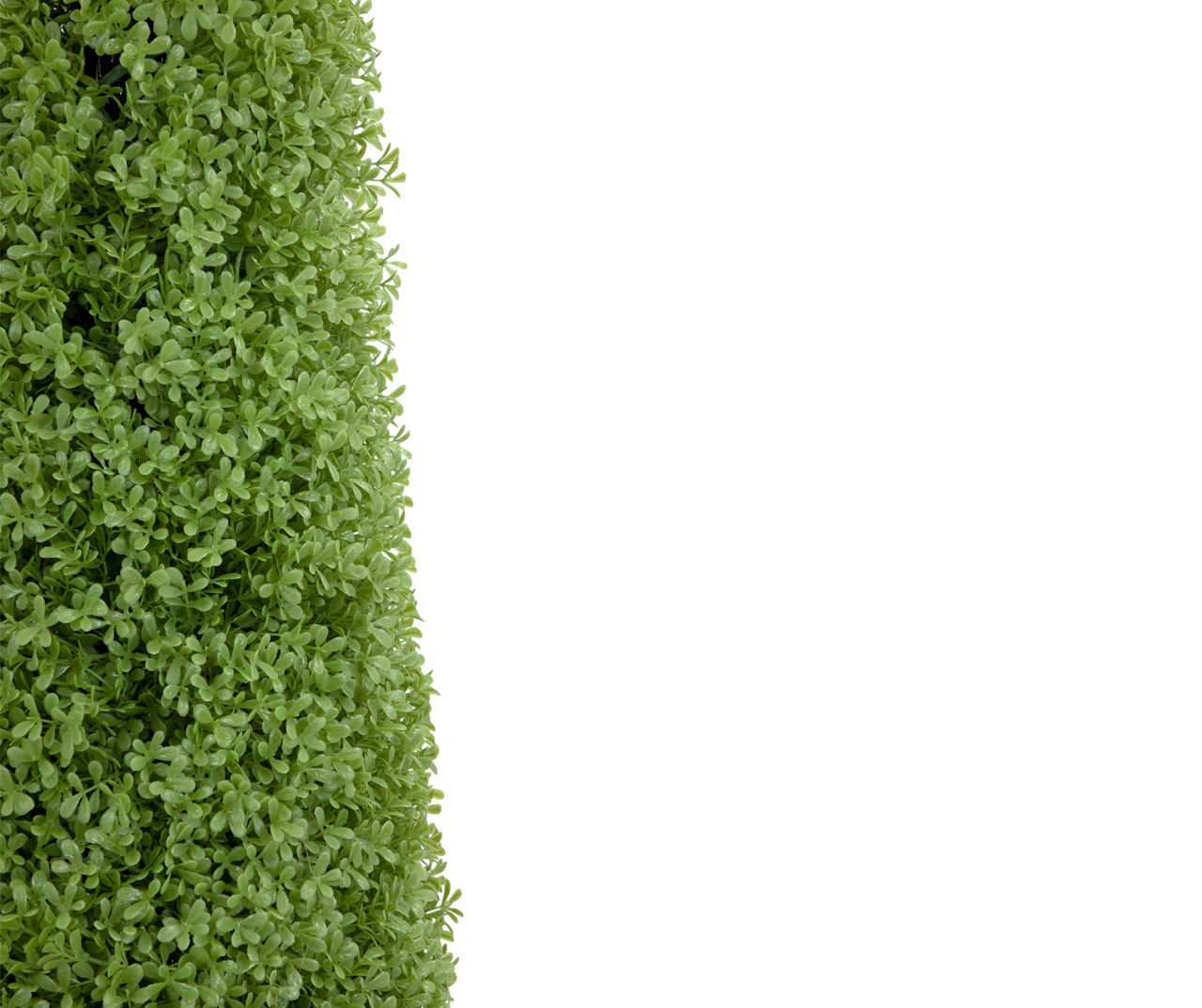 4' Boxwood Cone Topiary in Plastic Pot