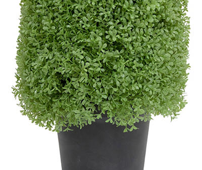 4' Boxwood Cone Topiary in Plastic Pot