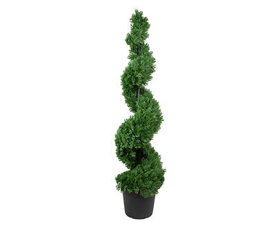 5' Cedar Spiral Topiary in Plastic Pot