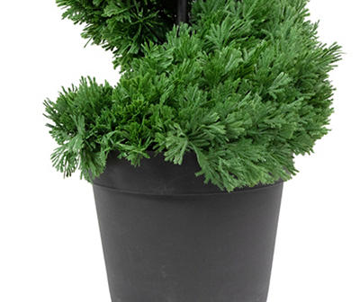 5' Cedar Spiral Topiary in Plastic Pot