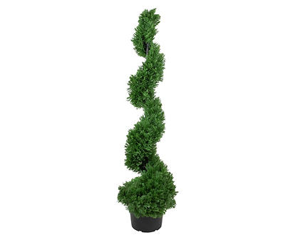 4' Cedar Spiral Topiary in Plastic Pot
