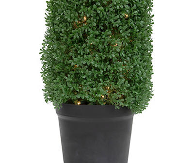 4' Boxwood Thin Cone LED Topiary in Plastic Pot