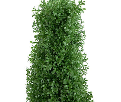 4' Dark Boxwood Cone Topiary in Plastic Pot