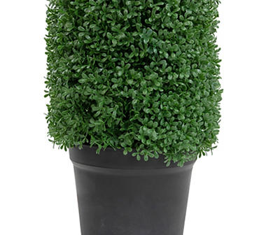 4' Dark Boxwood Cone Topiary in Plastic Pot