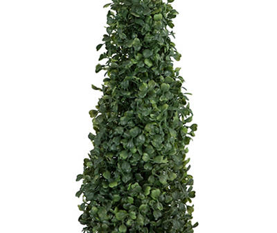 4' Boxwood Pyramid Topiary in Plastic Pot