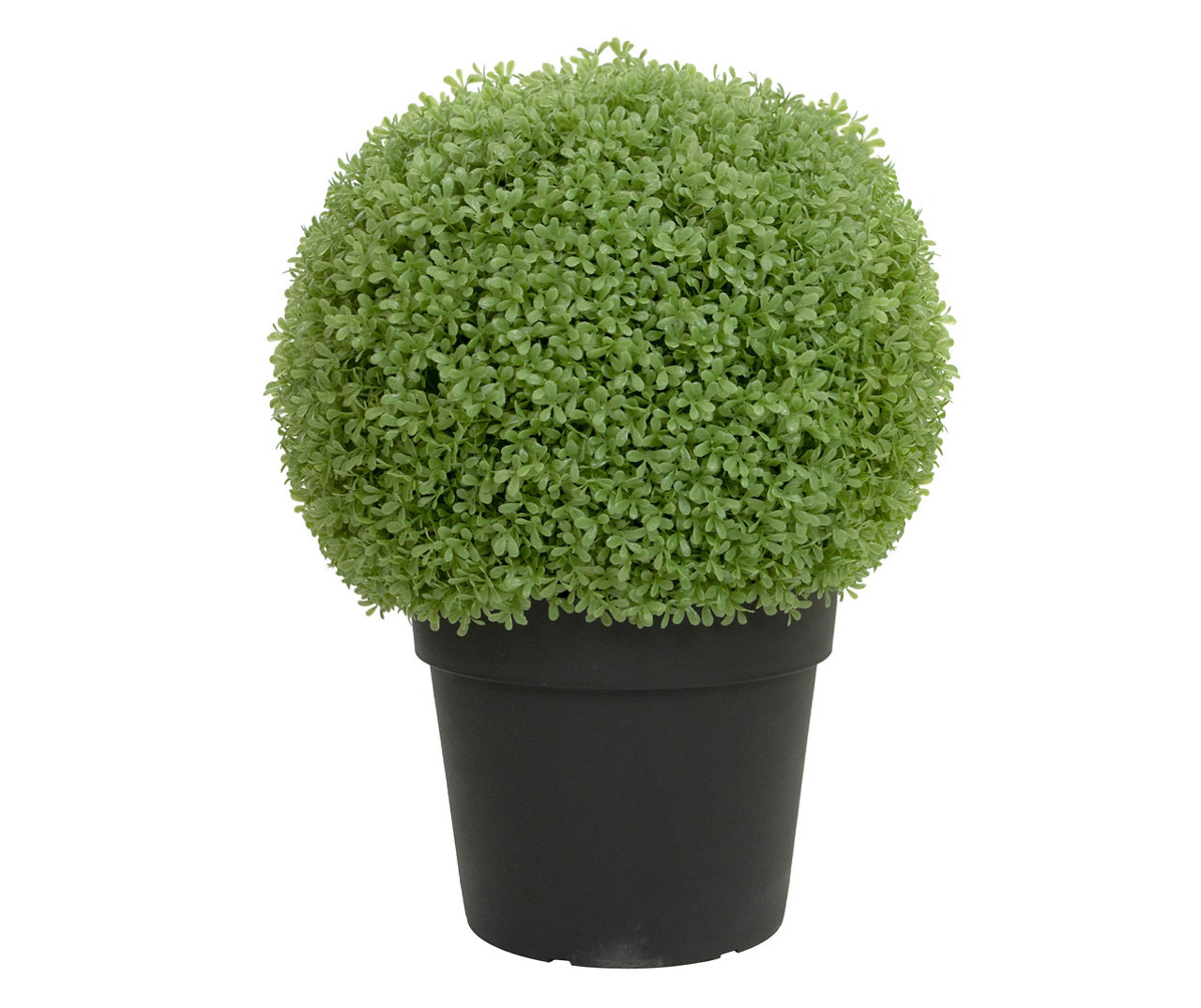22" Boxwood Ball Topiary in Plastic Pot