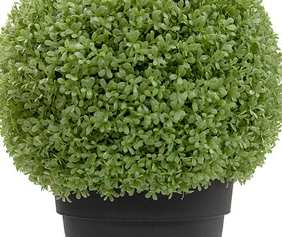22" Boxwood Ball Topiary in Plastic Pot