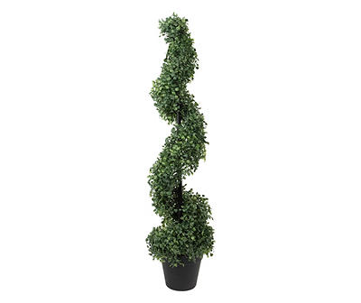 3' Boxwood Spiral Topiary in Plastic Pot
