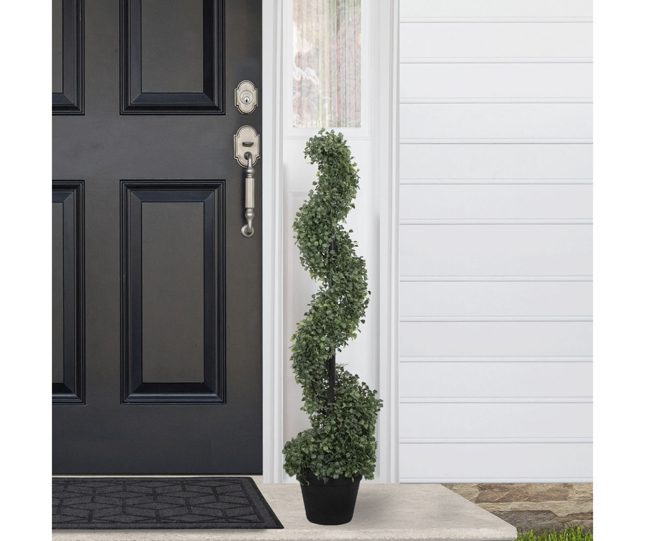3' Boxwood Spiral Topiary in Plastic Pot
