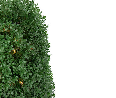 18" Boxwood Cone LED Topiary in Plastic Pot