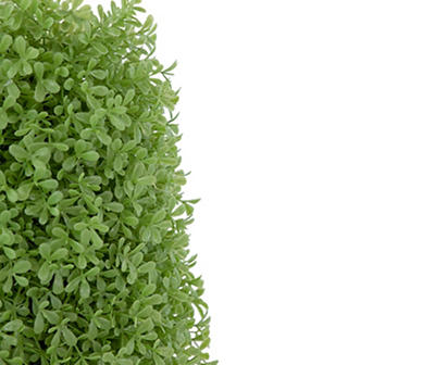 15" Boxwood Cone Topiary in Plastic Pot