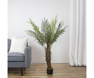 47" Phoenix Palm Tree in Plastic Pot