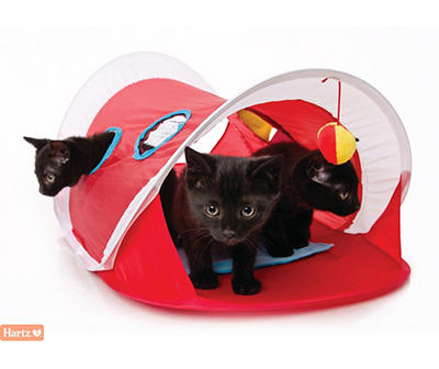 Just For Cats Peek & Play Pop-Up Tent