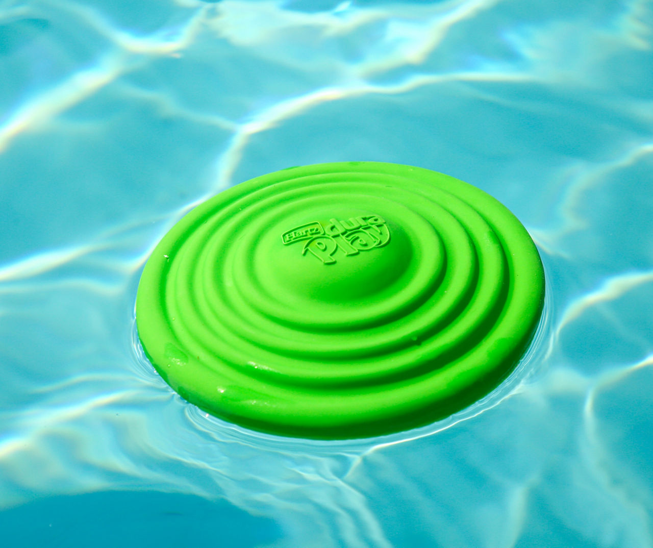 Duraplay Disc Dog Toy - Colors May Vary