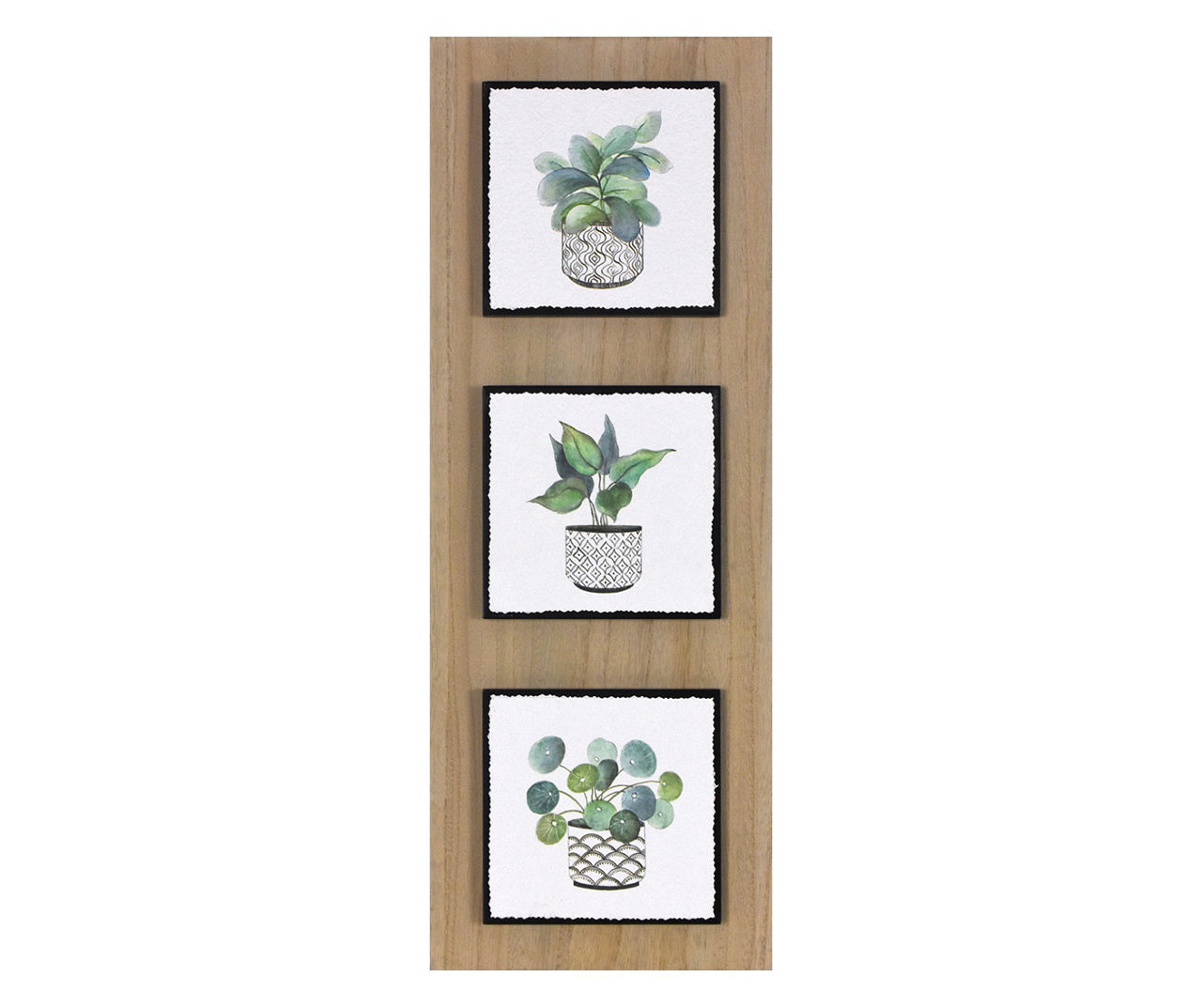 Plant Mix Trio Print Wall Decor