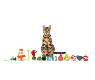 Grinch Cat Toy Advent Calendar Box