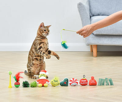 Grinch Cat Toy Advent Calendar Box
