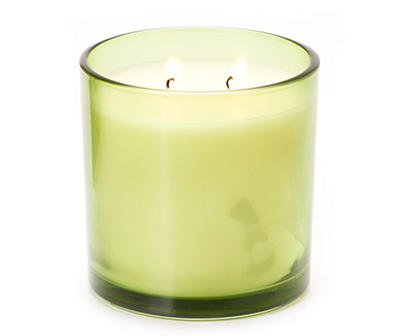 Salted Citrus & Mint 2-Wick Candle, 14 Oz.