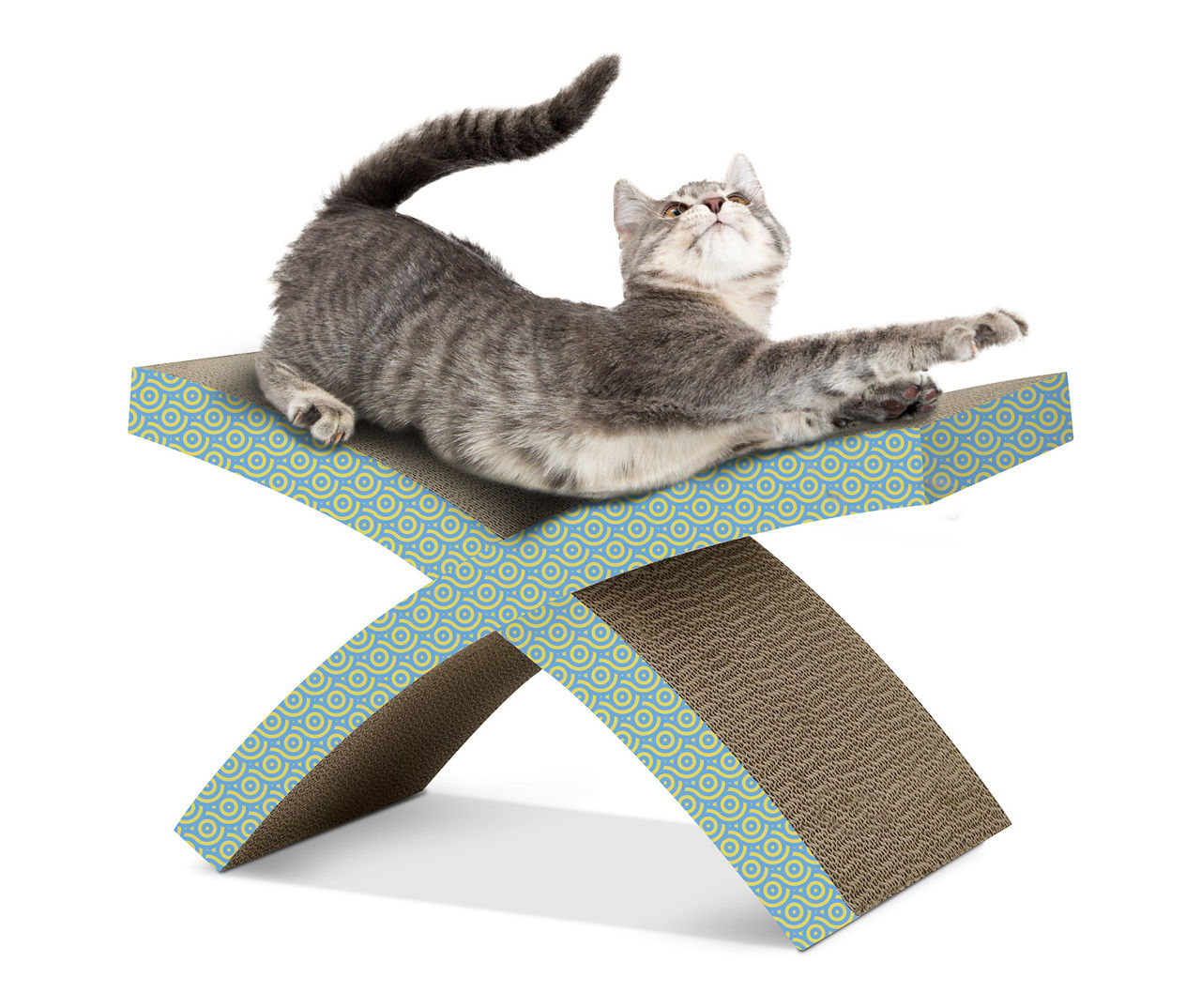 Big lots cat scratcher hotsell