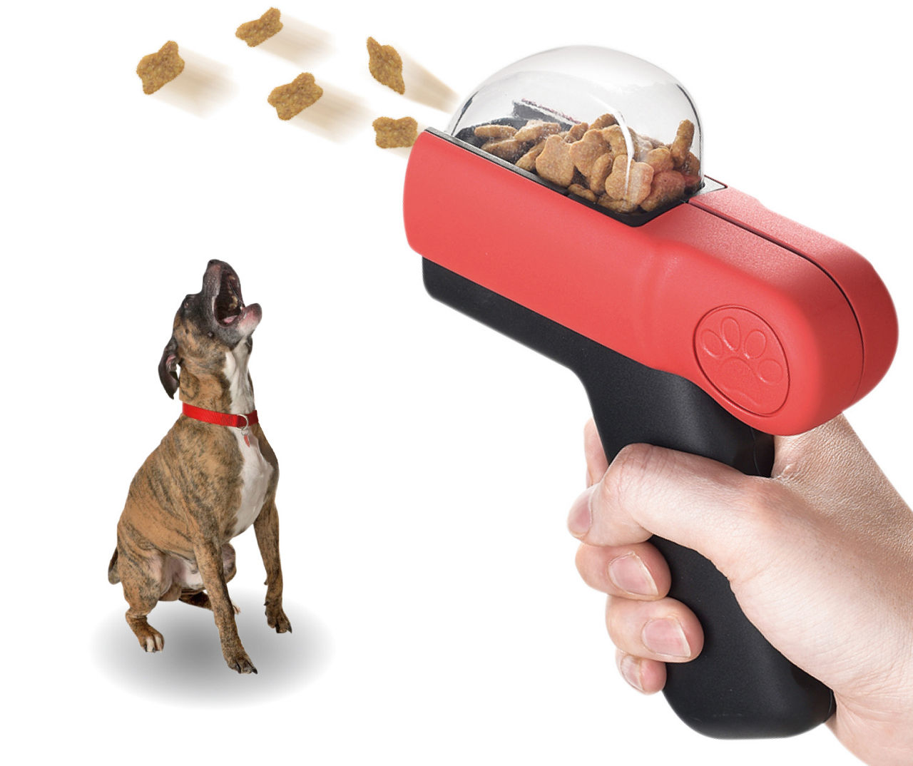 Protocol Dog Treat Launcher Launch Time Handheld Dog Treat