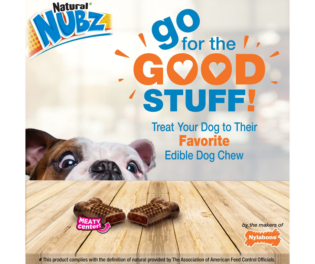 Nylabone Natural Nubz Beef Flavor Chew Dog Toy & Treat
