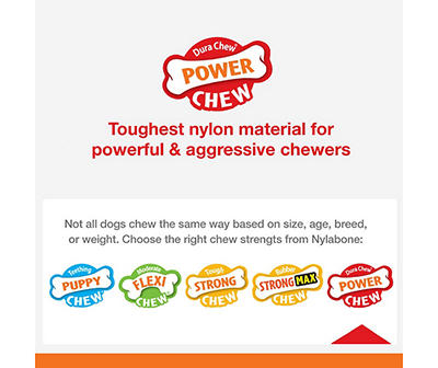 Nylabone Power Chew Bully Braid Stick Dog Toy