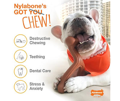 Nylabone Power Chew Bison Flavor Bone Dog Toy