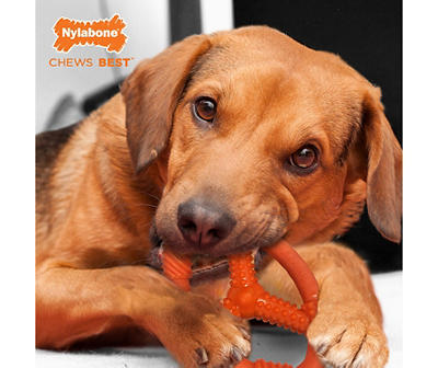 Nylabone Chicken-Flavored Orange Flexible Ring Dog Toy
