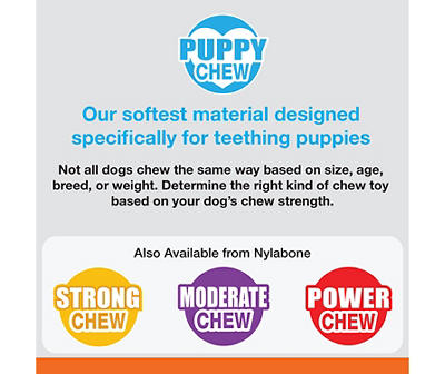 Nylabone 3-Piece Toy & Treat Puppy Starter Pack