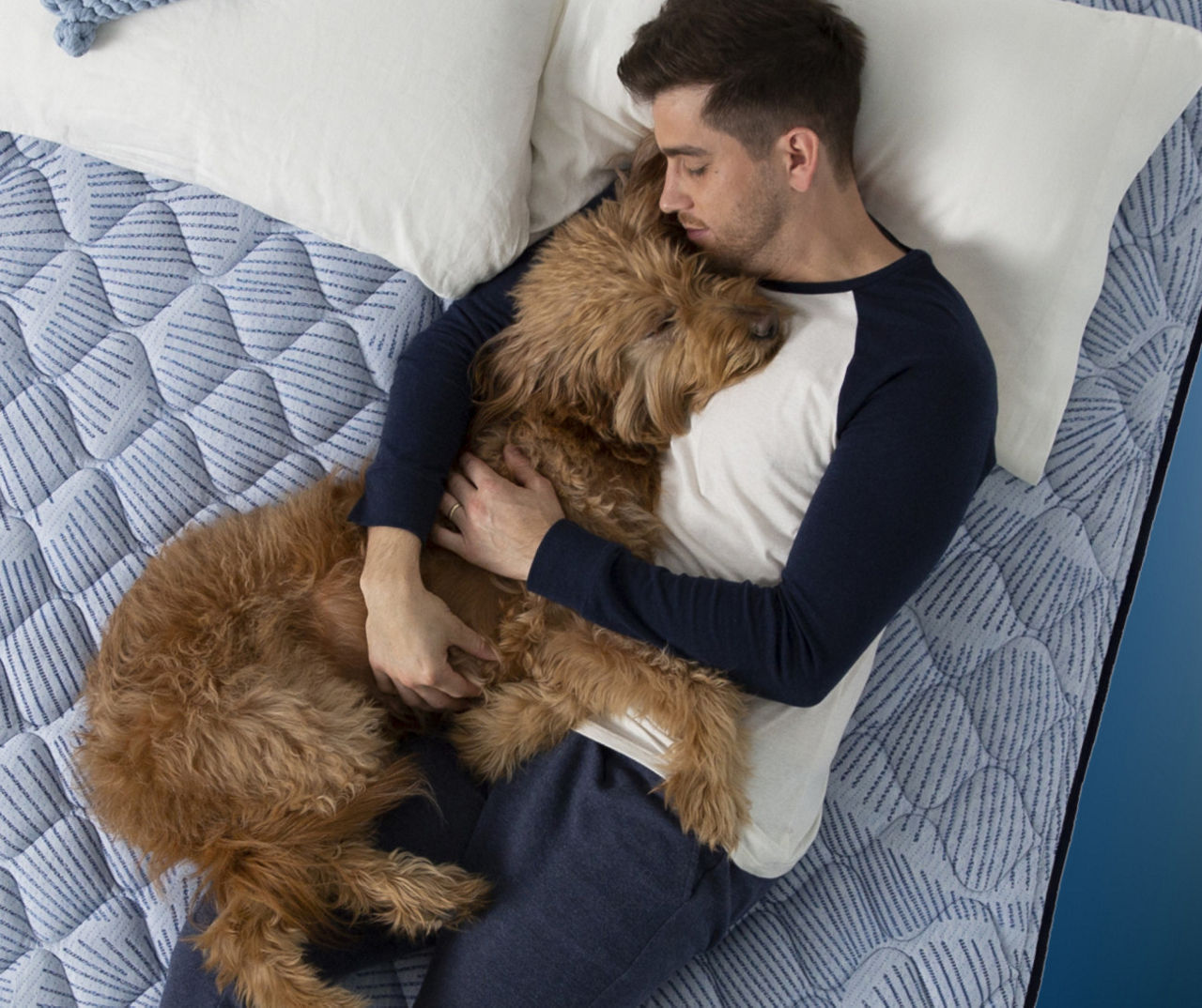 Perfect Sleeper Nurture Night 14.5" Twin Plush Pillow Top Mattress