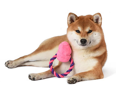 Pink Chick Plush & Rope Dog Toy