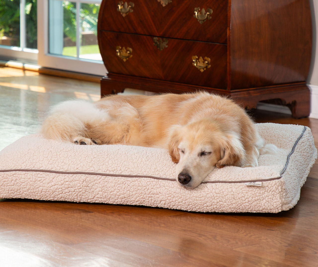 Big lots large dog beds hotsell