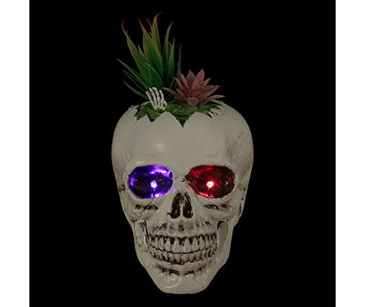 Succulent Skull Color-Changing LED Tabletop Decor