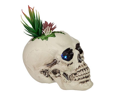 Succulent Skull Color-Changing LED Tabletop Decor
