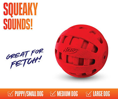 Red Checker Squeak Ball Dog Toy