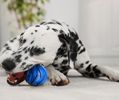 Blue Tonka Tire Ball Dog Toy