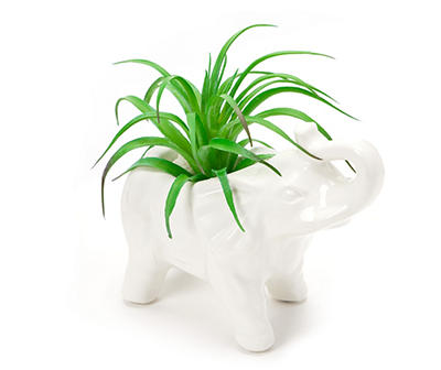 Artificial Succulent in Ceramic Elephant Pot