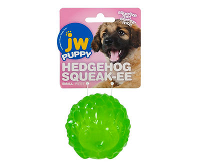 Small Hedgehog Squeaky Ball Dog Toy
