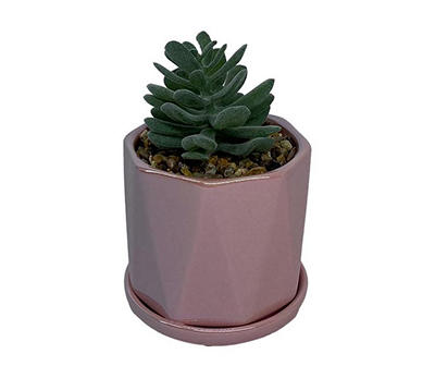 Artificial Succulent in Pink Ceramic Tray Planter
