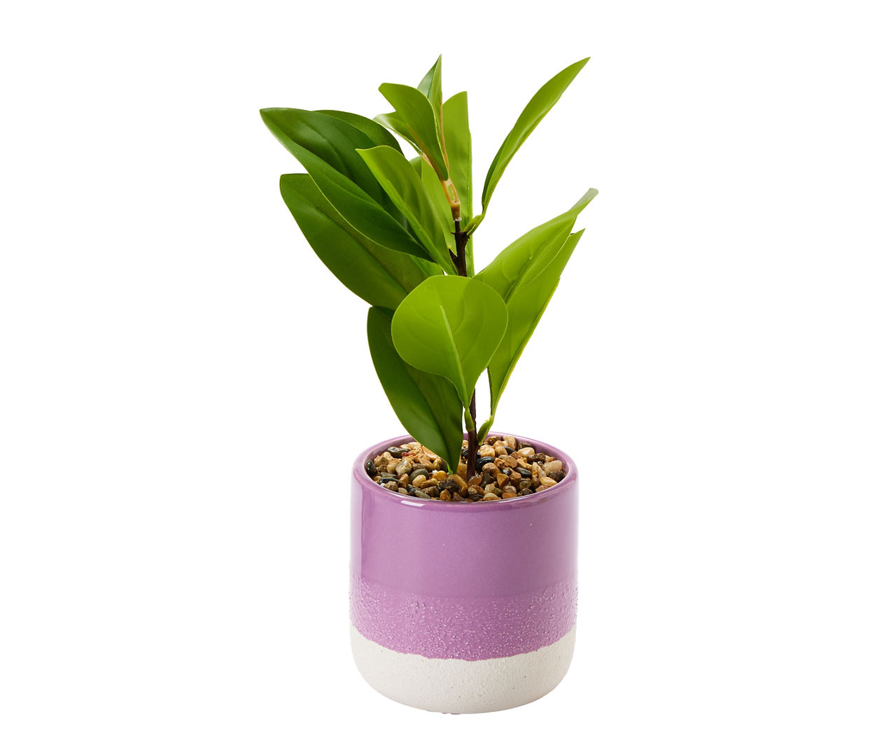 Artificial Greenery in 2Tone Ceramic Planter Big Lots